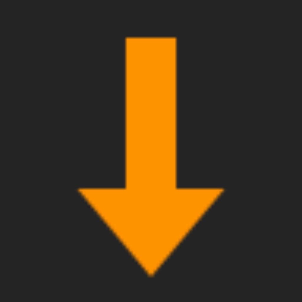 DownloadTimer icon