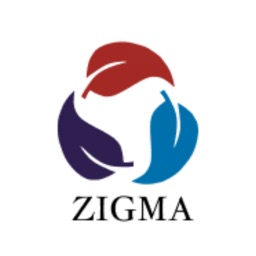 Zigma Work Pro