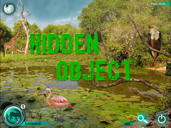 Hidden Animals: Seek and Find iPad screenshot 1 - Games app