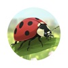 Bushy Bingo: Animal Adventure icon