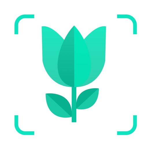 AI Plant Identifier - Care