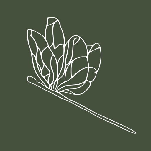 Orangery by Shantel: Цветы