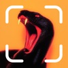 Snake Identifier: Snake Scan app icon - Reference app for iPhone