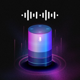 Voice Assistant: Command Setup