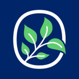 About Herbs