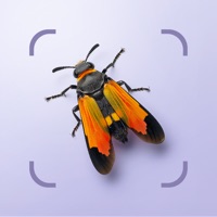 Bug ID  logo