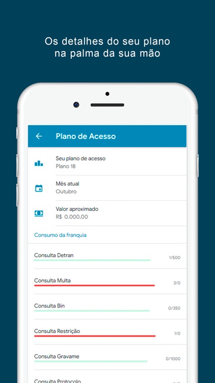 SOL DESPACHANTE screenshot-5