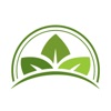 Grocedy icon