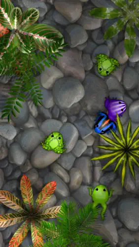 Pocket Frogs: Tiny Pond Keeper screenshot 1