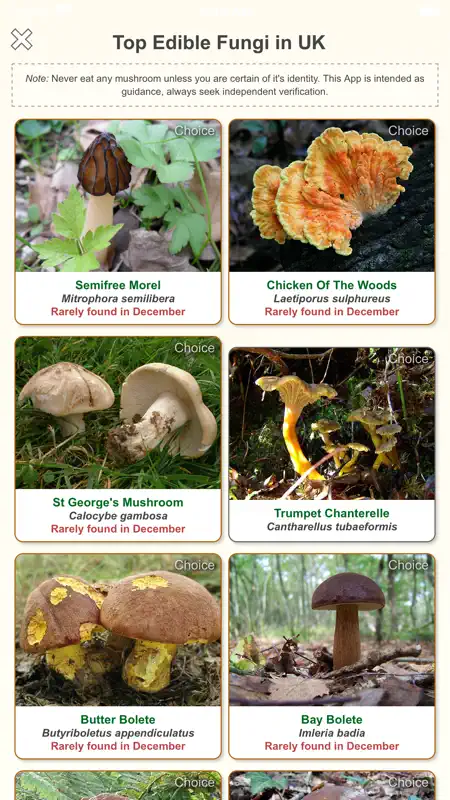 Shroomify - Mushroom ID screenshot 5 of 7