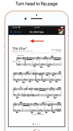 Flip Page screenshot 1