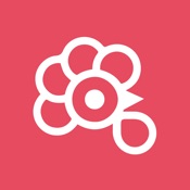 Rooster - Download.Drive.Save