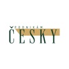 Podnikám Česky icon