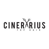 Cinerarius Top Hair