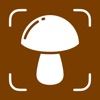 Mushroom Identifier: Mushrum icon