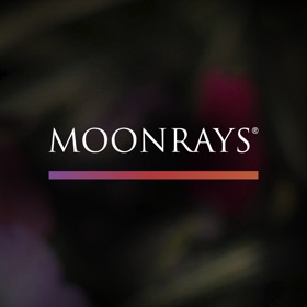 螢幕擷取畫面 (5) MOONRAYS