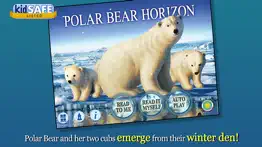 polar bear horizon iphone resimleri 1