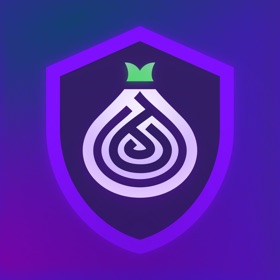 VPN + TOR Browser