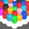 Get Hexa - Color Block Puzzle for iOS, iPhone, iPad Aso Report