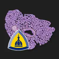 Pancreatic Pathology