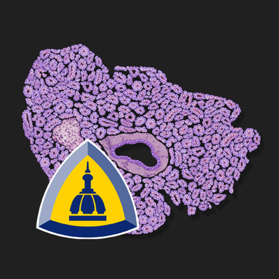 Pancreatic Pathology