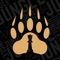 Strength & Performance Coaching from Team Jungle