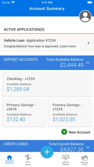 RBFCU screenshot 1