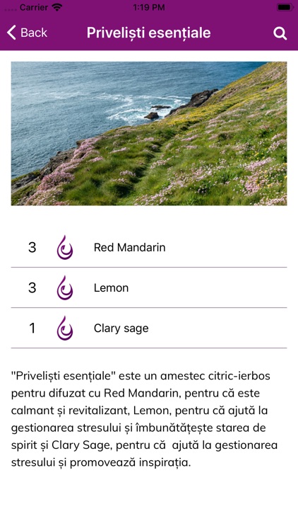 Esentiale screenshot-4