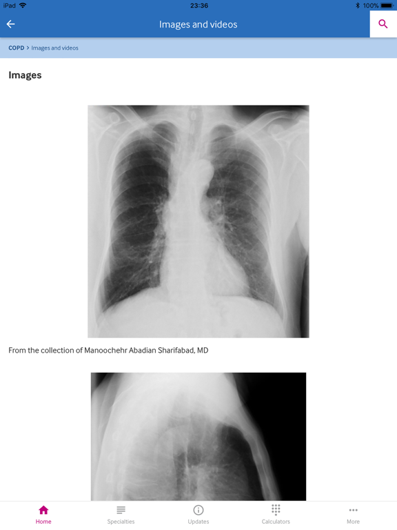 Screenshot #6 pour BMJ Best Practice