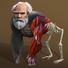 Idle Evolution - Cell to Human - iPhoneアプリ