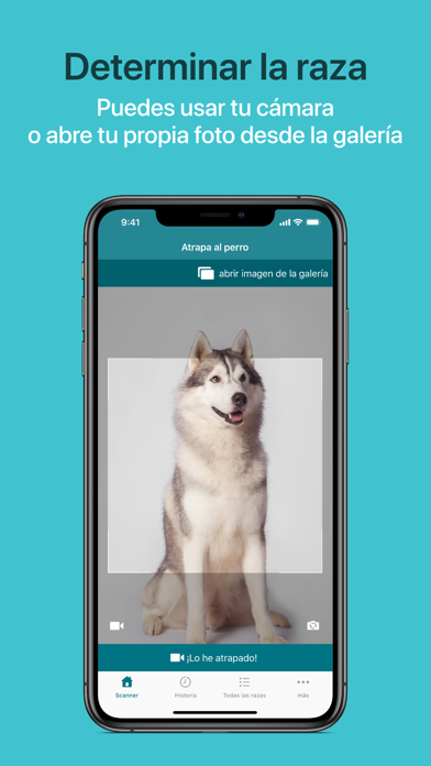 Dog Scanner screenshot 1