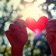 Valentines Day Cards & Quotes app icon - Entertainment app for iPhone