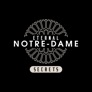 Eternal Notre-Dame : Secrets app icon