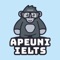 APEUni IELTS is a speaking practice app for IELTS