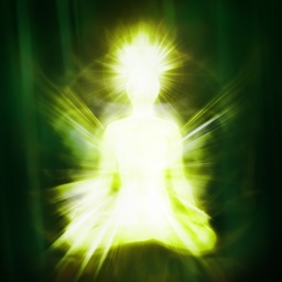 Meditation & Taoist Alchemy