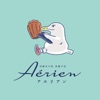 Aerien icon