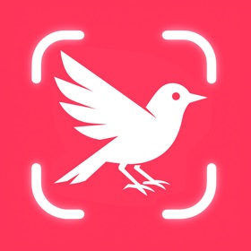 Bird Call Identifier: Featha