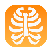 Xray Anatomy