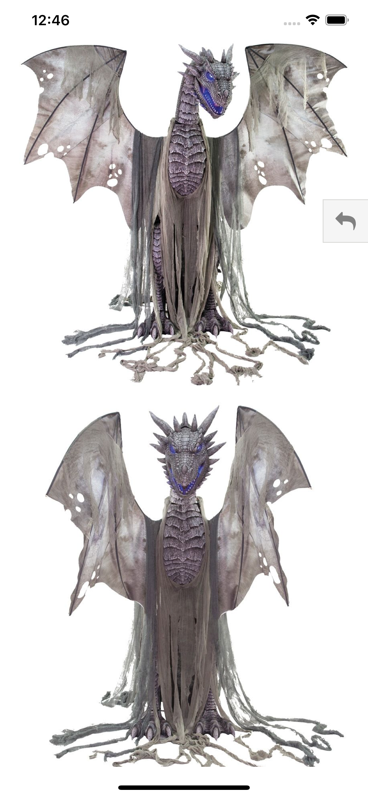 The Costume King
