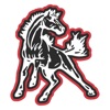 McDonald County Athletics app icon - Sports app for iPhone