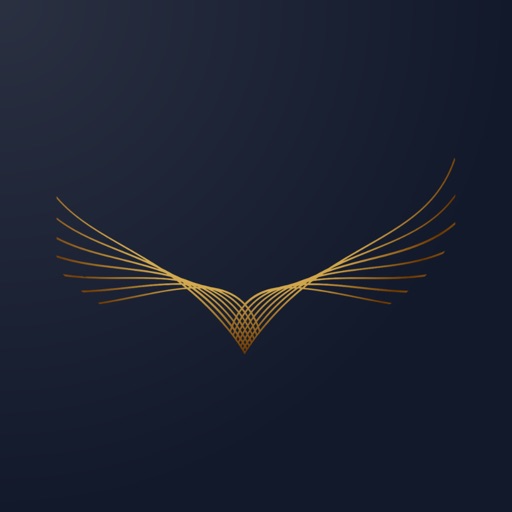 Odin Rideshare Driver