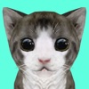 Cat Simulator Online icon