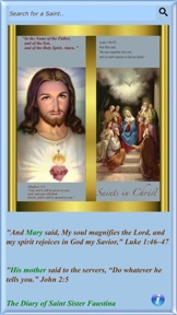 Saints In Christ screenshot