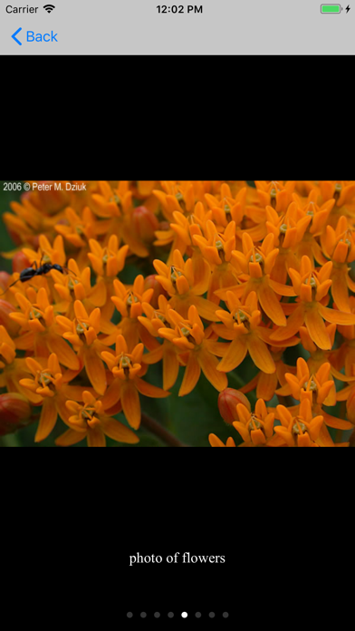 Minnesota Wildflowers Info. Screenshot