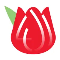 巴金森寶典