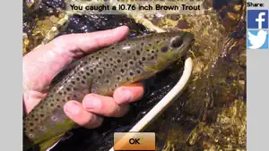 Fly Fishing Simulator HD screenshot 3