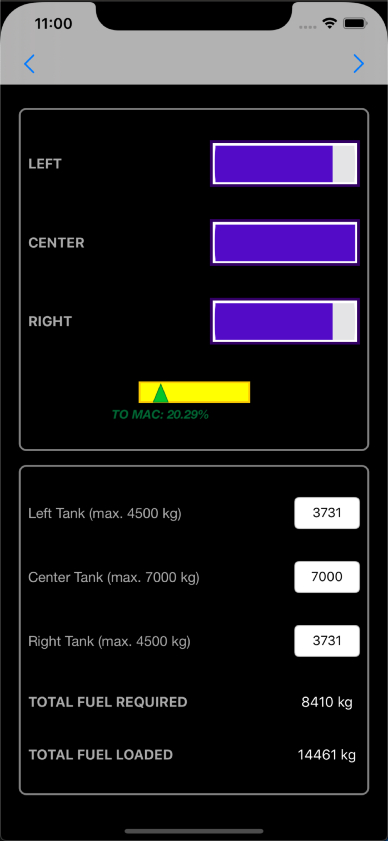 iGoDispatch Boeing733 screenshot 4