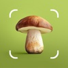 Mushroom ID: Forage Identifier icon