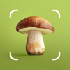 Mushroom ID－Identification app - AIBY