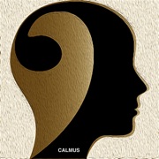 ‎CalmusPlay
